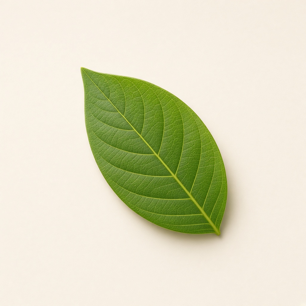 A green leaf on a cream background, generated during the real Grok API test